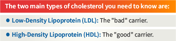 HDL vs LDL Cholesterol: Understanding the Difference Between the 'Good' and the 'Bad' — What exactly is Cholesterol?