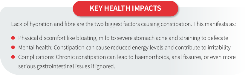 understanding constipation