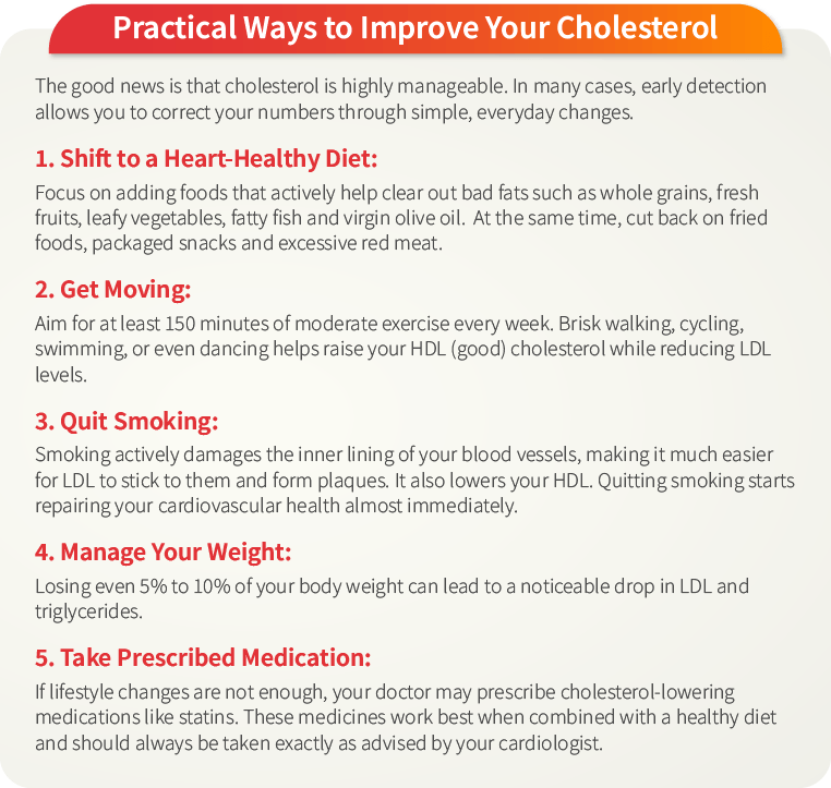 HDL vs LDL Cholesterol: Understanding the Difference Between the 'Good' and the 'Bad' — Practical Ways to Improve Your Chole…